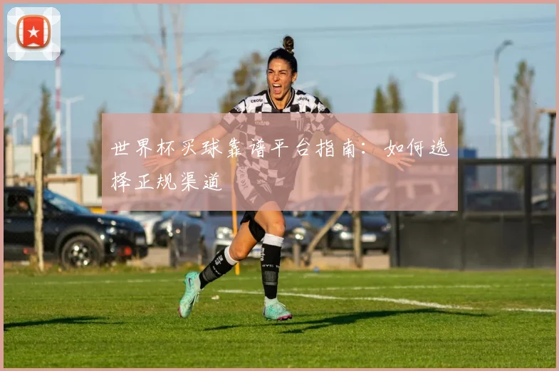 世界杯买球靠谱平台指南：如何选择正规渠道