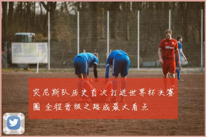 突尼斯队历史首次打进世界杯决赛圈 全程晋级之路成最大看点