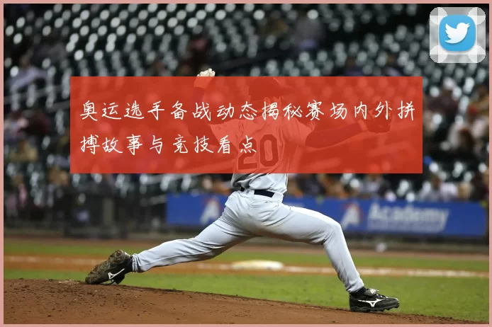 奥运选手备战动态揭秘赛场内外拼搏故事与竞技看点