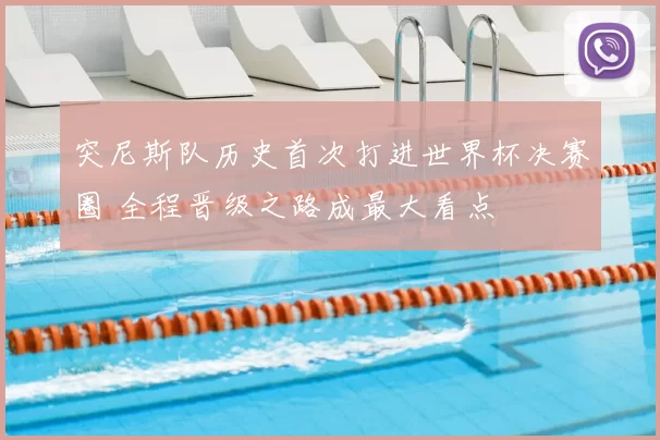 突尼斯队历史首次打进世界杯决赛圈 全程晋级之路成最大看点