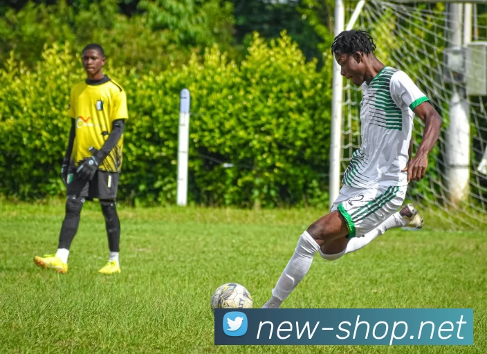 App Interface Preview